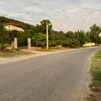 ۲۱۵ متر زمین با منظره کوهستانی جنگلی در تنگه لته|فروش زمین و ملک کلنگی|ساری, |دیوار