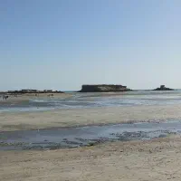 بازدید جاهای دیدنی جزیره قشم با ون 13نفره و سواری