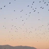 اجاره لاین در سالن زیبایی|خدمات آرایشگری و زیبایی|شیراز, کلاهدوز|دیوار