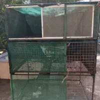 قفس پرنده فلزی بزرگ