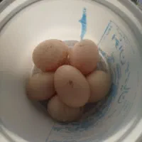 تخم نطفه دار اردک اسرائیلی