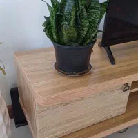 گل پتوس و سانسوریا و آگلونما|گل و گیاه طبیعی|شیراز, طلاب|دیوار