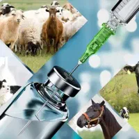 استخدام بازاریاب حضوری