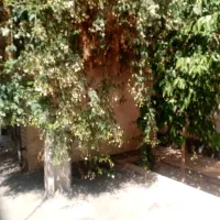 ویلایی دوطبقه اکازیون ولیعصر قصرالدشت|فروش خانه و ویلا|شیراز, عفیف‌آباد|دیوار