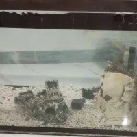 وسایل تزیینی