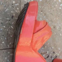 کفش|کیف، کفش، کمربند|کارون, |دیوار