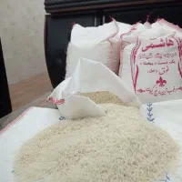 برنج درجه یک هاشمی گیلان و لاشه ممتاز هاشمی|خوردنی و آشامیدنی|تالش, تالش|دیوار