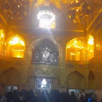 تورضامن آهو