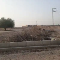 زمین دیلم|فروش زمین و ملک کلنگی|دیلم, |دیوار