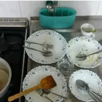 اتو کشیدن لباس ها و شستن ظرف ها