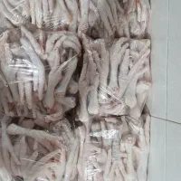 پامرغ|خوردنی و آشامیدنی|قروه, |دیوار