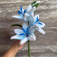 لیلیوم آبی