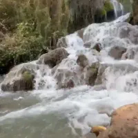 توردوروزه ابشار رمقان