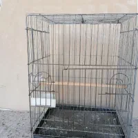 قفس مخصوص عروس هلندی
