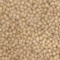 حبوبات ، نخود ، عدس ، لوبیا چیتی هندی