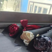 شاخه ۷۰ تومنی