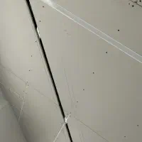 برقکشی ساختمان|خدمات پیشه و مهارت|جهرم, |دیوار