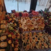 اشپزی تخصصی سنتی و بین المللی باسابقه ۱۵ ساله