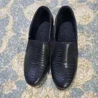 کیف کفش کاملا نو سایز ۳۹|کیف، کفش، کمربند|آزادشهر, |دیوار