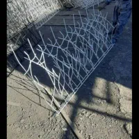 حفاظ شاخه گوزنی