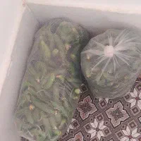 فروش خیار درجه دو جزئی وکلی
