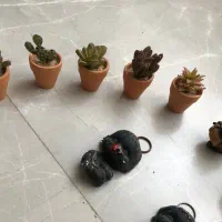 مجسمه دکوری|مجسمه، تندیس، ماکت|قزوین, |دیوار