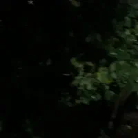 خونه باغ ودامداری|فروش دفتر صنعتی، کشاورزی، تجاری|گالیکش, |دیوار