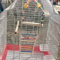 قفس پرنده|لوازم جانبی حیوانات|آبپخش, |دیوار