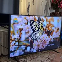 55 اینچ دوو نو|تلویزیون و پروژکتور|فلارد, |دیوار