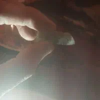 آلبوم تمر|کلکسیون اشیاء عتیقه|شیراز, نصر|دیوار