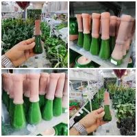 گوشتکوب سفال سفالی دیزی خوری لیندا گلدان خاکبرگ