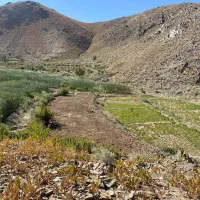 فروش کلاته دربست همراه با غنات و معدن