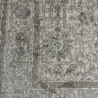 فرش پاتریس ۴متری نونو|فرش|ساری, |دیوار