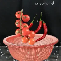 کلیه وسایل 9000 تومان|حراج|شیراز, فرهنگ شهر|دیوار