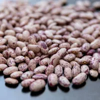 لوبیا چیتی درجه یک محلی