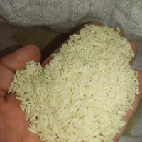 برنج رودبار درجه یک