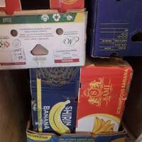 کارتن موزی