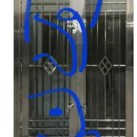 دو تا مغازه در خ حرفه ای اجاره داده می شود