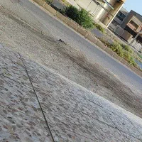 زمین ام اطمیر