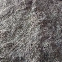 یونجه خورد شده چین اول|عمده‌فروشی|شهرکرد, |دیوار