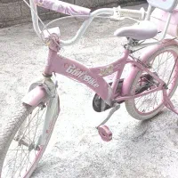 دوچرخه سالم و تمیز