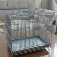 قفس سهره قناری|لوازم جانبی حیوانات|رباط‌کریم, شترخوار|دیوار