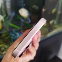 گوشی آیفون 15نرمال|موبایل|کرمان, |دیوار