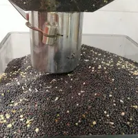 روغن کانولا کلزا خالص ارگانیک|خوردنی و آشامیدنی|شوشتر, |دیوار