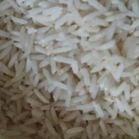 محصولات کشاورزی|عمده‌فروشی|مینودشت, |دیوار