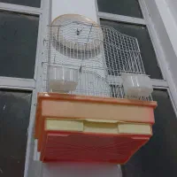 یک عدد قفس قناری با همه وسائل|لوازم جانبی حیوانات|قم, خندق|دیوار