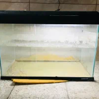 آکواریوم|ماهی|پردیس, فاز ۳|دیوار