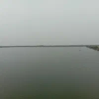 اجاره-پروش-ماهی-خاکی-سنتی-40-هکتار