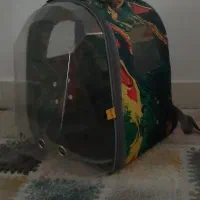 کیف فضایی حمل گربه،سگ،پرنده|لوازم جانبی حیوانات|رشت, رودباری|دیوار