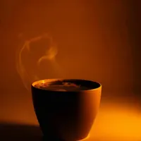 فرصت شغلی در سه زمینه کاری